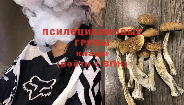 ПСИЛОЦИБИНОВЫЕ ГРИБЫ Алексеевка