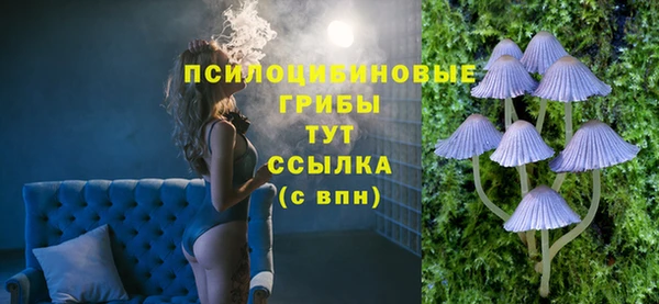 меф Арсеньев