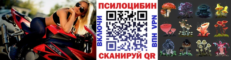 Галлюциногенные грибы Psilocybine cubensis  kraken tor  Нижняя Салда 
